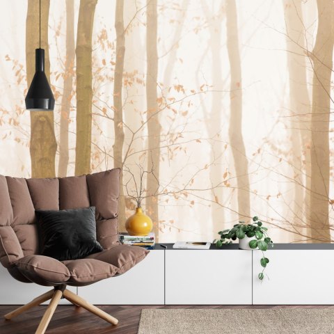 Fototapeta Las We Mgle Vinyl Gładki 152.5x104 FT-457-VGL