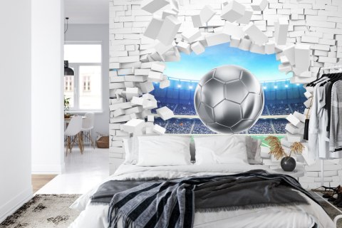 Fototapeta 3D Cegła, Piłka Nożna Flizelina 208x146 FT-1941-VEXL