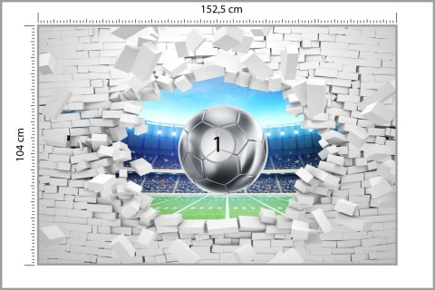 Fototapeta 3D Cegła, Piłka Nożna Vinyl Gładki 152.5x104 FT-1941-VGL