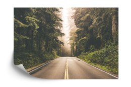 Fototapeta Droga W Amerykańskim Lesie Flizelina 208x146 FT-4076-VEXL