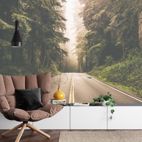 Fototapeta Droga W Amerykańskim Lesie Vinyl Gładki 152.5x104 FT-4076-VGL