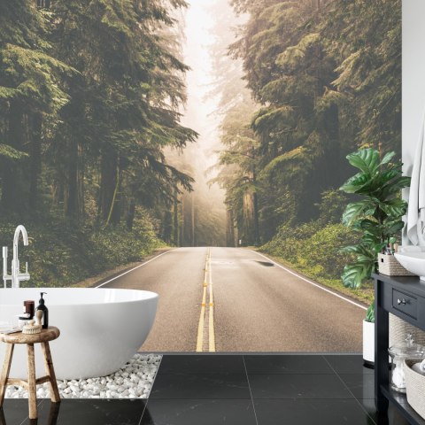 Fototapeta Droga W Amerykańskim Lesie Vinyl Gładki 152.5x104 FT-4076-VGL