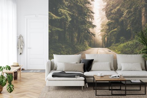 Fototapeta Droga W Amerykańskim Lesie Vinyl Gładki 152.5x104 FT-4076-VGL