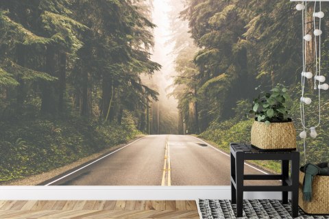 Fototapeta Droga W Amerykańskim Lesie Vinyl Gładki 152.5x104 FT-4076-VGL