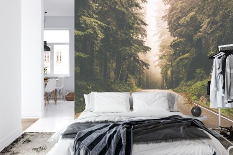 Fototapeta Droga W Amerykańskim Lesie Vinyl Gładki 152.5x104 FT-4076-VGL