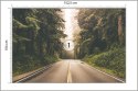 Fototapeta Droga W Amerykańskim Lesie Vinyl Gładki 152.5x104 FT-4076-VGL