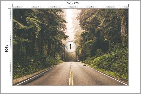 Fototapeta Droga W Amerykańskim Lesie Vinyl Gładki 152.5x104 FT-4076-VGL