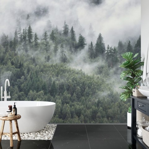 Fototapeta Las W Porannej Mgle Flizelina 208x146 FT-4079-VEXL