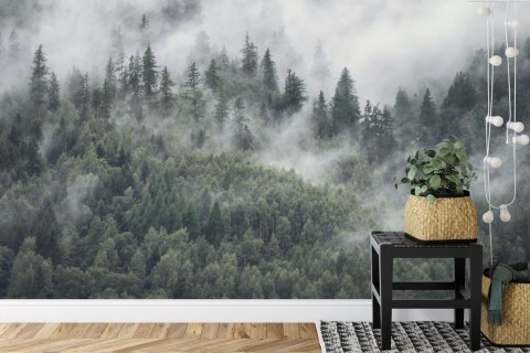 Fototapeta Las W Porannej Mgle Flizelina 208x146 FT-4079-VEXL