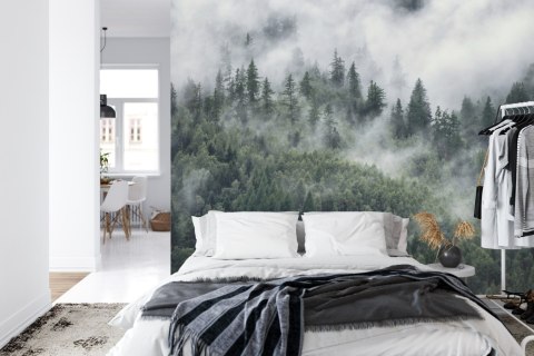 Fototapeta Las W Porannej Mgle Flizelina 208x146 FT-4079-VEXL