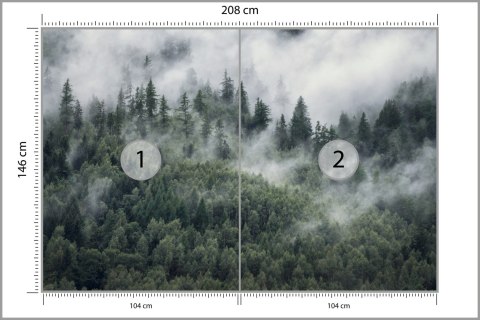 Fototapeta Las W Porannej Mgle Flizelina 208x146 FT-4079-VEXL