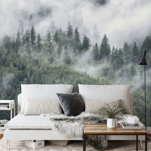 Fototapeta Las W Porannej Mgle Vinyl Gładki 152.5x104 FT-4079-VGL