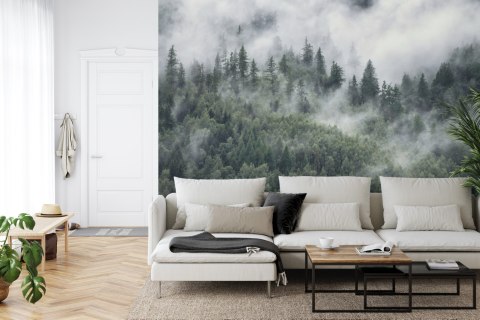 Fototapeta Las W Porannej Mgle Vinyl Gładki 152.5x104 FT-4079-VGL