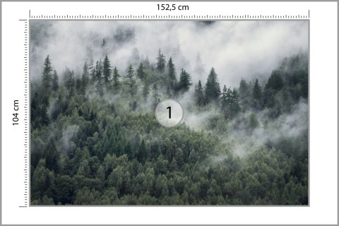 Fototapeta Las W Porannej Mgle Vinyl Gładki 152.5x104 FT-4079-VGL