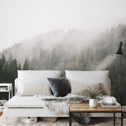 Fototapeta Las We Mgle Flizelina 208x146 FT-17-VEXL