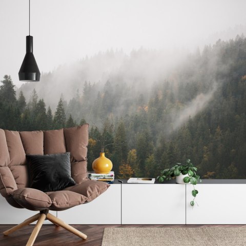 Fototapeta Las We Mgle Flizelina 208x146 FT-17-VEXL