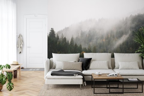 Fototapeta Las We Mgle Flizelina 208x146 FT-17-VEXL