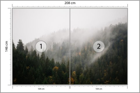 Fototapeta Las We Mgle Flizelina 208x146 FT-17-VEXL