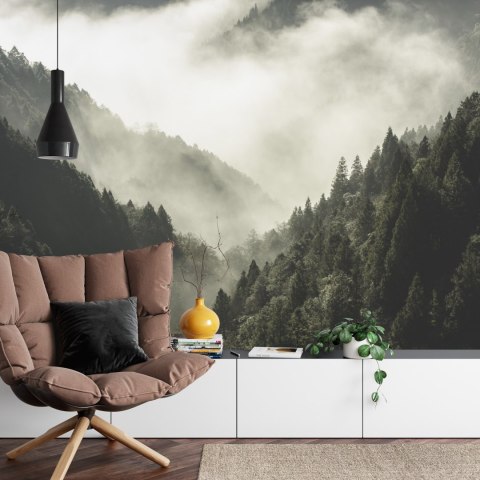 Fototapeta Las We Mgle Flizelina 208x146 FT-9-VEXL