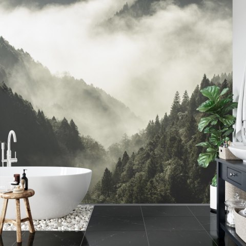 Fototapeta Las We Mgle Flizelina 208x146 FT-9-VEXL