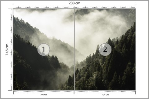 Fototapeta Las We Mgle Flizelina 208x146 FT-9-VEXL