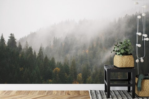 Fototapeta Las We Mgle Vinyl Gładki 152.5x104 FT-17-VGL