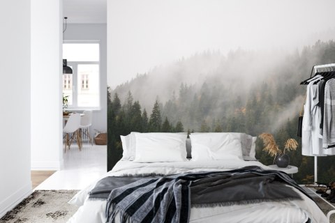 Fototapeta Las We Mgle Vinyl Gładki 152.5x104 FT-17-VGL