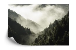 Fototapeta Las We Mgle Vinyl Gładki 152.5x104 FT-9-VGL