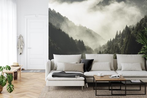 Fototapeta Las We Mgle Vinyl Gładki 152.5x104 FT-9-VGL