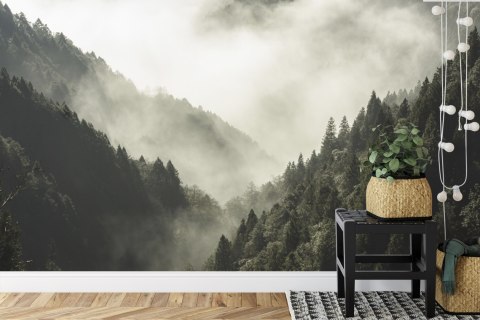 Fototapeta Las We Mgle Vinyl Gładki 152.5x104 FT-9-VGL