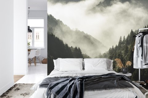 Fototapeta Las We Mgle Vinyl Gładki 152.5x104 FT-9-VGL