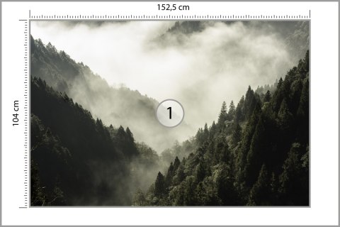 Fototapeta Las We Mgle Vinyl Gładki 152.5x104 FT-9-VGL