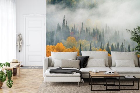 Fototapeta Mgła Nad Jesiennym Lasem Flizelina 208x146 FT-4057-VEXL