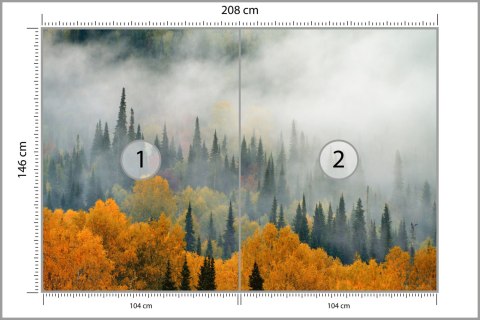 Fototapeta Mgła Nad Jesiennym Lasem Flizelina 208x146 FT-4057-VEXL