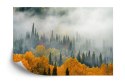 Fototapeta Mgła Nad Jesiennym Lasem Vinyl Gładki 152.5x104 FT-4057-VGL