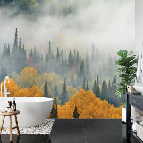 Fototapeta Mgła Nad Jesiennym Lasem Vinyl Gładki 152.5x104 FT-4057-VGL