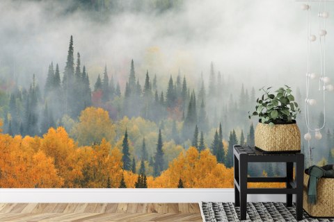 Fototapeta Mgła Nad Jesiennym Lasem Vinyl Gładki 152.5x104 FT-4057-VGL