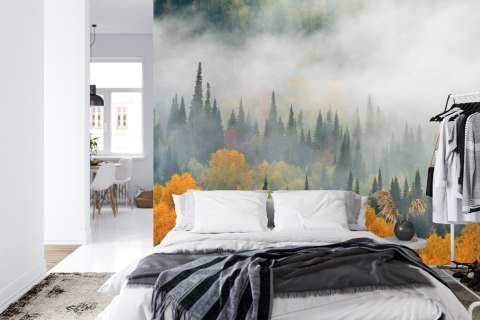 Fototapeta Mgła Nad Jesiennym Lasem Vinyl Gładki 152.5x104 FT-4057-VGL