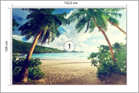 Fototapeta Palmy Na Seszelach Vinyl Gładki 152.5x104 FT-4138-VGL