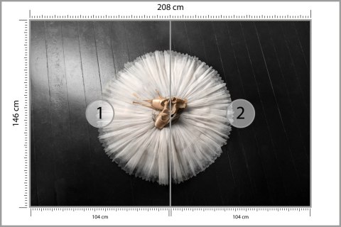 Fototapeta Buty Do Baletu Na Białej Tutu Flizelina 208x146 FT-3827-VEXL