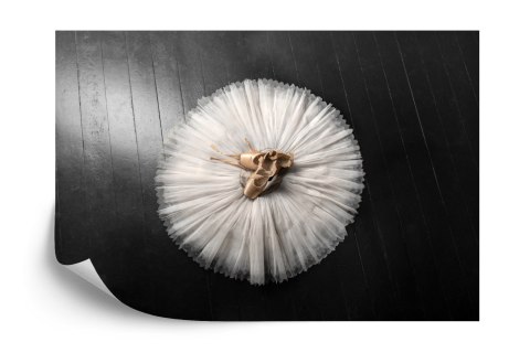 Fototapeta Buty Do Baletu Na Białej Tutu Vinyl Gładki 152.5x104 FT-3827-VGL