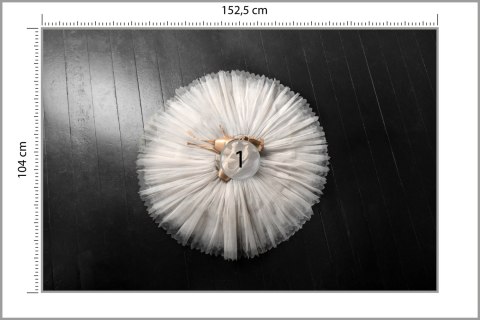 Fototapeta Buty Do Baletu Na Białej Tutu Vinyl Gładki 152.5x104 FT-3827-VGL
