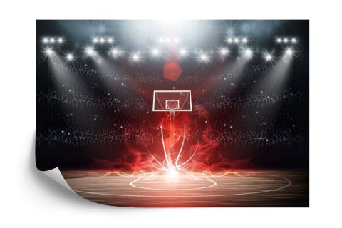 Fototapeta Futurystyczne Boisko Koszykówki Flizelina 208x146 FT-3121-VEXL