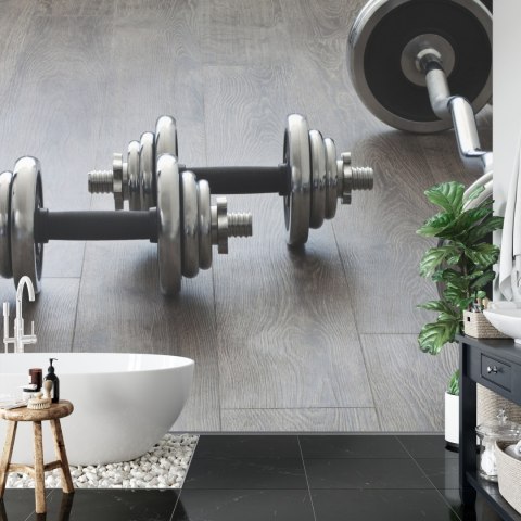 Fototapeta Hantle I Sztangi Flizelina 208x146 FT-3939-VEXL