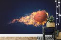 Fototapeta Płonąca Piłka Koszykowa Flizelina 208x146 FT-3117-VEXL