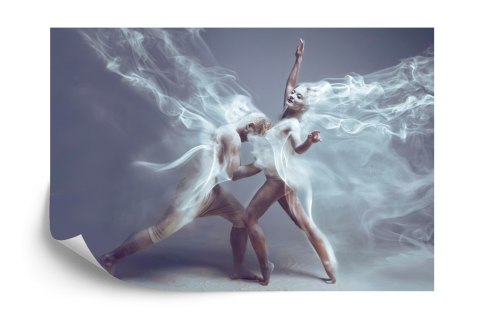 Fototapeta Taniec Współczesny W Artystycznym Wydaniu Flizelina 208x146 FT-3824-VEXL