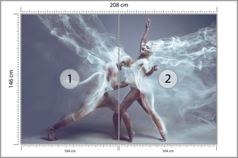 Fototapeta Taniec Współczesny W Artystycznym Wydaniu Flizelina 208x146 FT-3824-VEXL