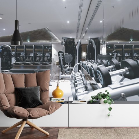 Fototapeta Wyposażenie Nowoczesnej Siłowni Vinyl Gładki 152.5x104 FT-3965-VGL
