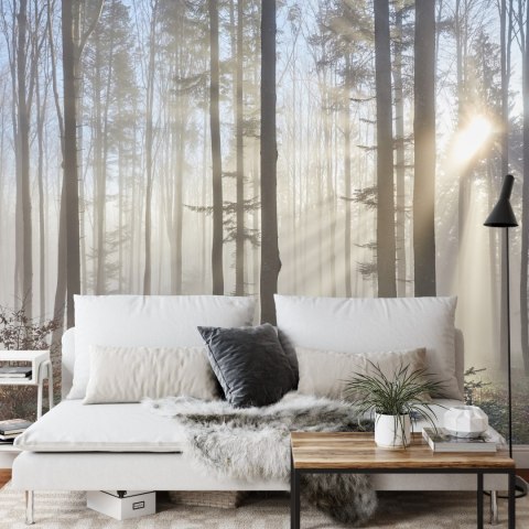 Fototapeta Las We Mgle Flizelina 208x146 FT-1-VEXL