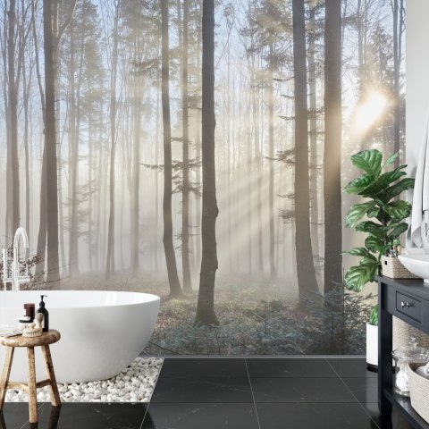 Fototapeta Las We Mgle Flizelina 208x146 FT-1-VEXL